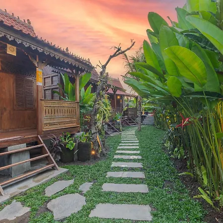 Abian Ubud View
